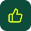 Container – Notout