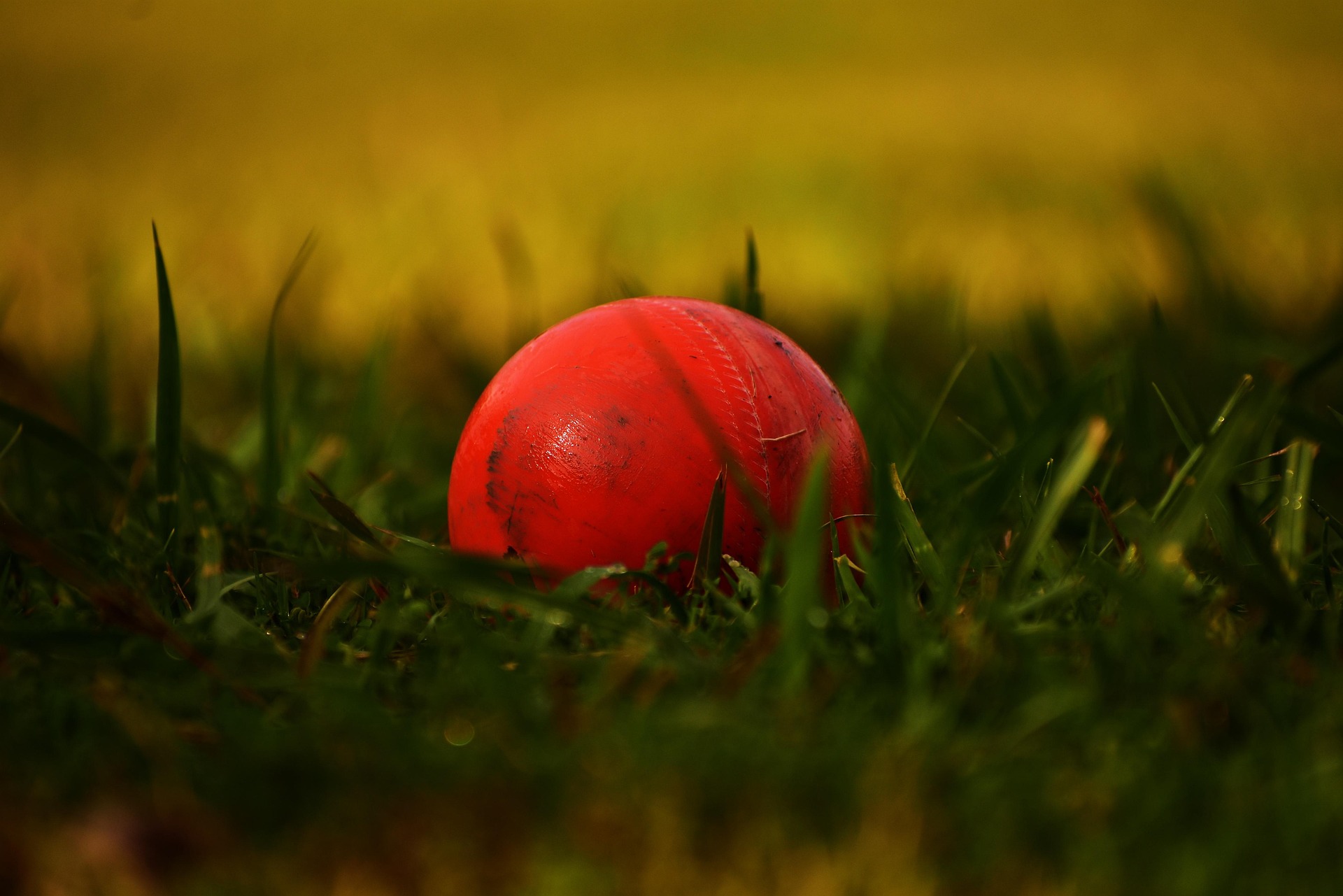 The NotOut Edge: Mastering Cricket Match Betting!